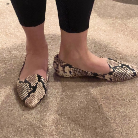 Snake print loafer from Market and Spruce - Picture 3 of 8